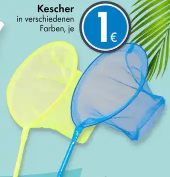 TEDi Kescher Angebot