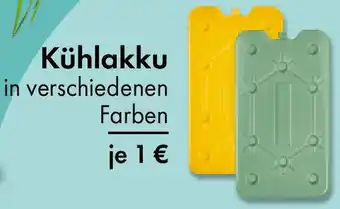 TEDi Kühlakku Angebot