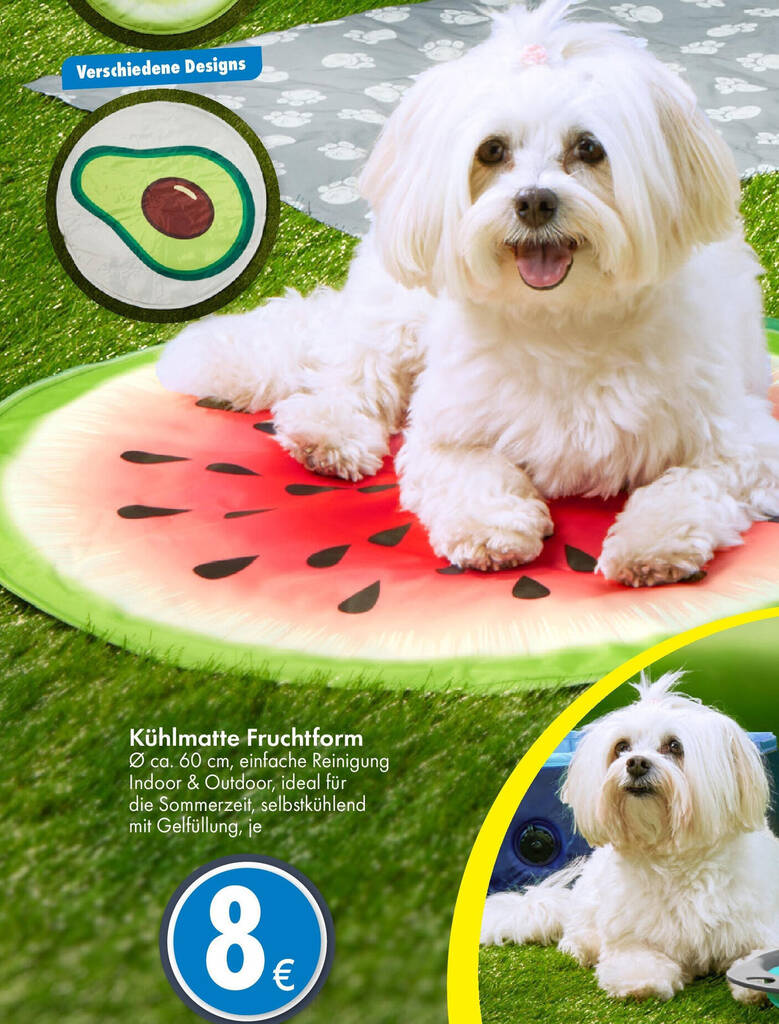 Kühlmatte Fruchtform Angebot bei TEDi
