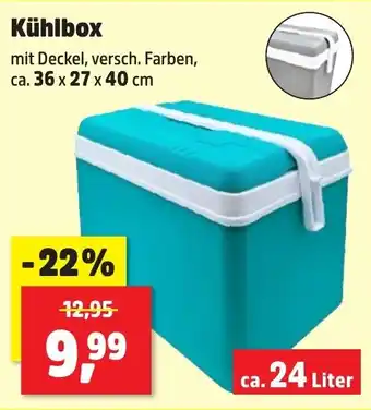 Thomas Philipps Kühlbox Angebot