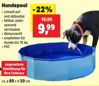 Thomas Philipps Hundepool Angebot