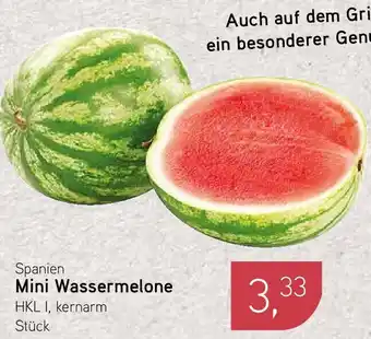 Dornseifer Spanien Mini Wassermelone Angebot