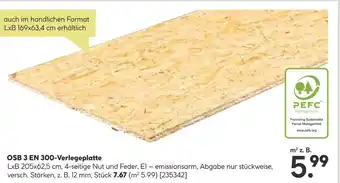 BayWa OSB 3 EN 300-Verlegeplatte Angebot
