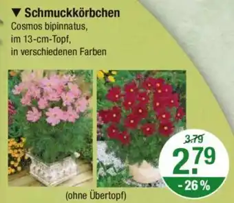 V Markt Schmuckkörbchen Angebot