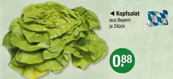 V Markt Kopfsalat Angebot