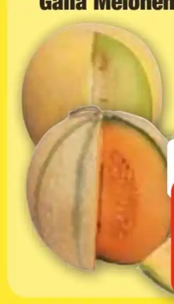 Edeka Frischemarkt Cantaloupe Melone Angebot