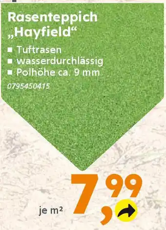 Globus Baumarkt Rasenteppich ,,Hayfield" Angebot