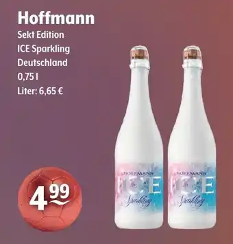 Trink und Spare Hoffmann Sekt Edition ICE Sparkling 750ml Angebot