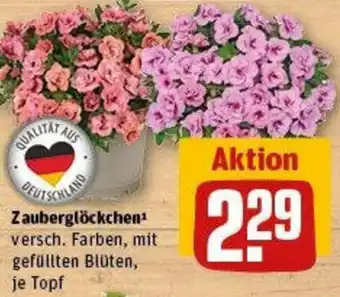 REWE Zauberglöckchen Angebot