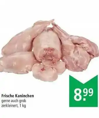 Marktkauf Frische Kaninchen Angebot