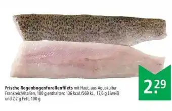 Marktkauf Frische Regenbogenforellenfilets Angebot