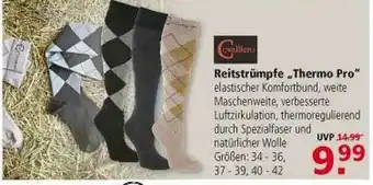 Multi Markt Reitstrümpfe „thermo Pro” Angebot