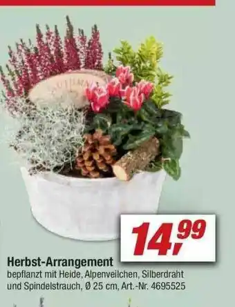 toom Baumarkt Herbst-arrangement Angebot