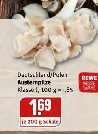 REWE Kaufpark Deutschland-polen Austernpilze Angebot