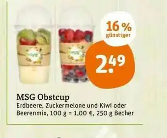 tegut Msg Obstcup Angebot