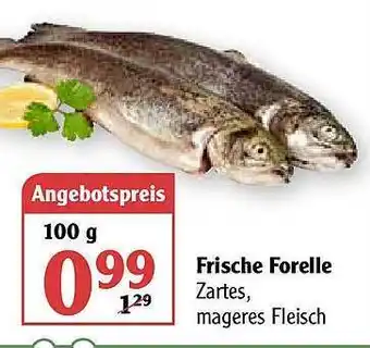 Globus Frische Forelle Angebot