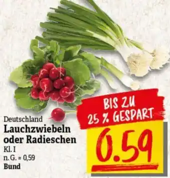 NP Discount Deutschland Lauchzwiebeln oder Radieschen Angebot