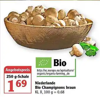 Globus Niederlande Bio Champignons Braun Angebot