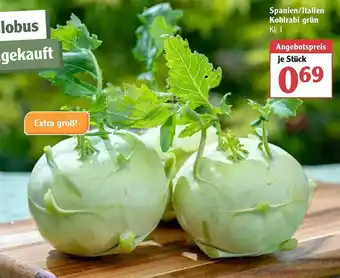 Globus Kohlrabi Grün Angebot