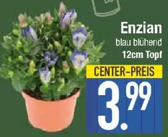 E-Center Enzian Angebot
