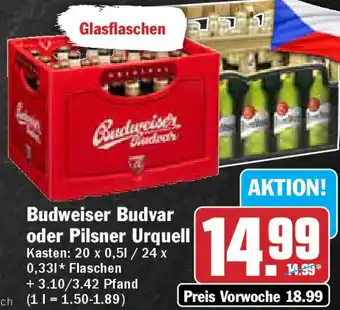 Hit Budweiser Budvar oder Pilsner Urquell 20x0,5/24x0,33 L Flaschen Angebot