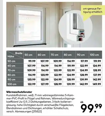 BayWa Wärmeschutzfenster Angebot