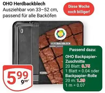 Globus OHO Herdbackblech Angebot