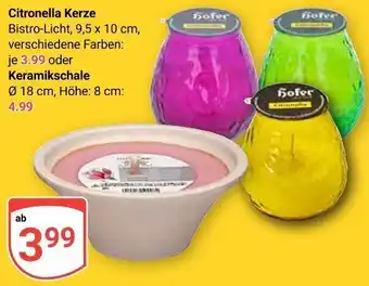 Globus Citronella Kerze oder Keramikschale Angebot