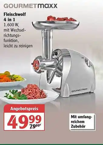 Globus Gourmetmaxx Fleischwolf 4in1 Angebot