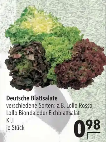 CITTI Markt Deutsche Blattsalate KI.I je Stück Angebot