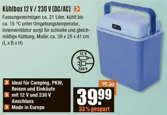 V Baumarkt Kühlbox 12V/230 V (DC/AC) Angebot