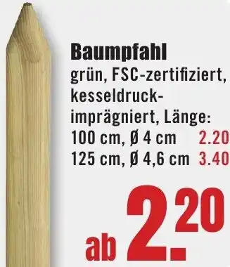 B1 Discount Baumarkt Baumpfahl Angebot