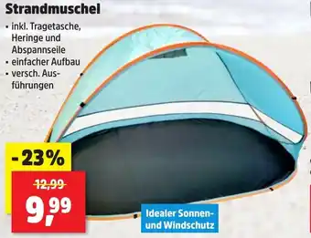 Thomas Philipps Strandmuschel Angebot