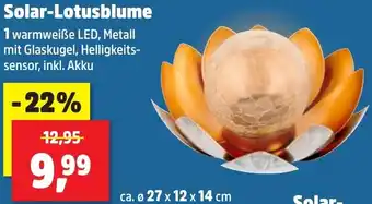 Thomas Philipps Solar-Lotusblume Angebot