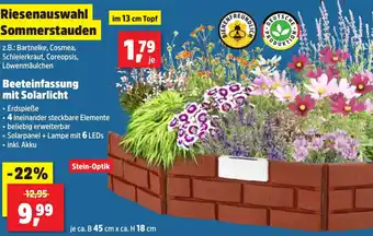 Thomas Philipps Beeteinfassung mit Solarlicht Angebot