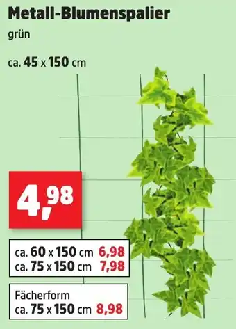 Thomas Philipps Metall-Blumenspalier Angebot