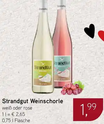 Dornseifer Strandgut Weinschorle 0,75 L Flasche Angebot