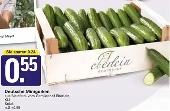 WEZ Deutsche Minigurken Angebot