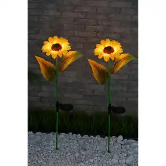 toom Baumarkt Solar Sonnenblumen-Set Angebot