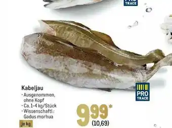 METRO Pro Trace Kabeljau Angebot