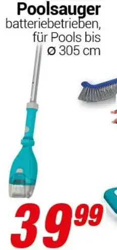 CENTERSHOP Poolsauger Angebot