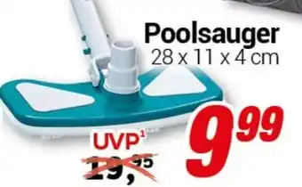 CENTERSHOP Poolsauger Angebot