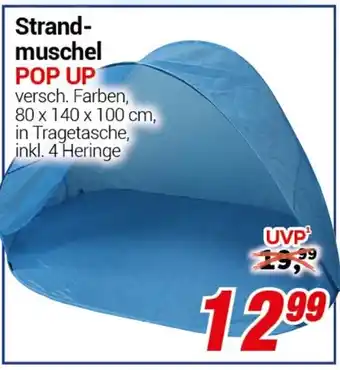 CENTERSHOP Strand- muschel POP UP Angebot