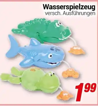 CENTERSHOP Wasserspielzeug Angebot