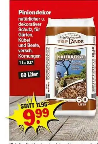 Repo Markt Piniendekor Angebot