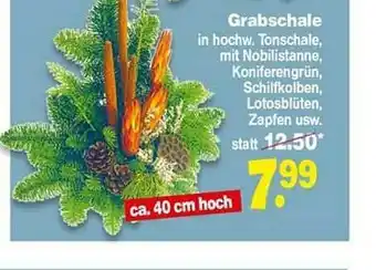 Repo Markt Grabschale Angebot