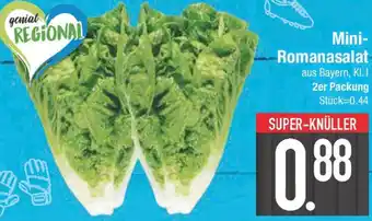 E-Center Mini Romanasalat 2er Packung Angebot