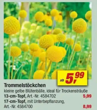 toom Baumarkt Trommelstöckchen Angebot
