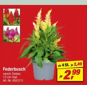 toom Baumarkt Federbusch Angebot