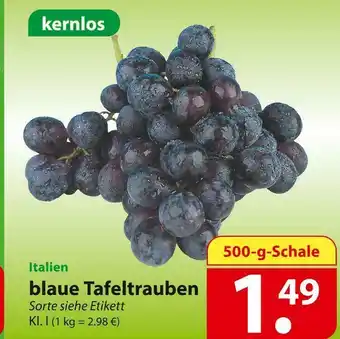 Famila Nord Ost Blaue tafeltrauben Angebot